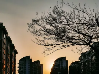 MegaReel Kazino Mobilioji programa